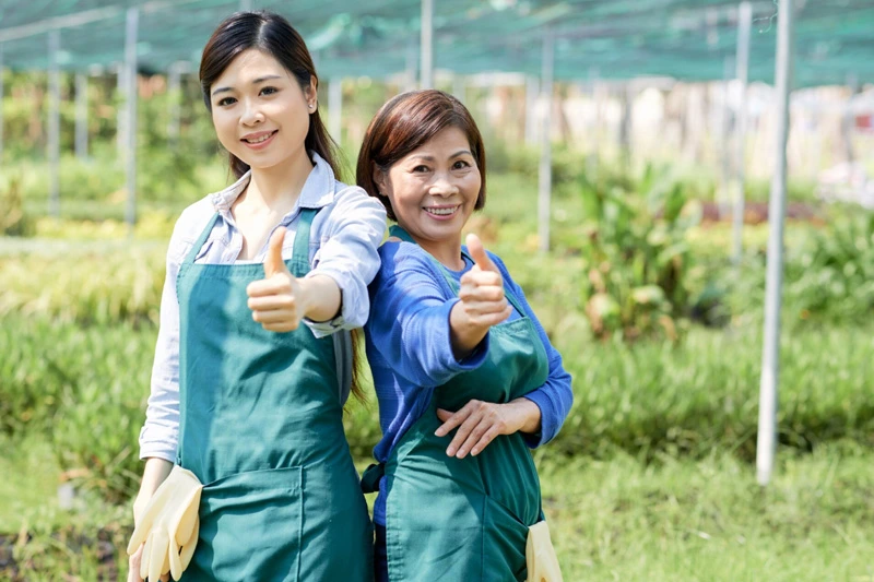 plasare personal asia